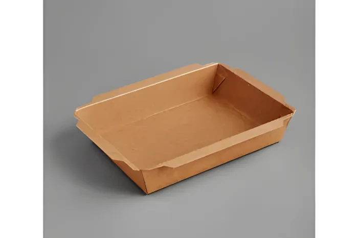 2100 ml Kraft Food Tray