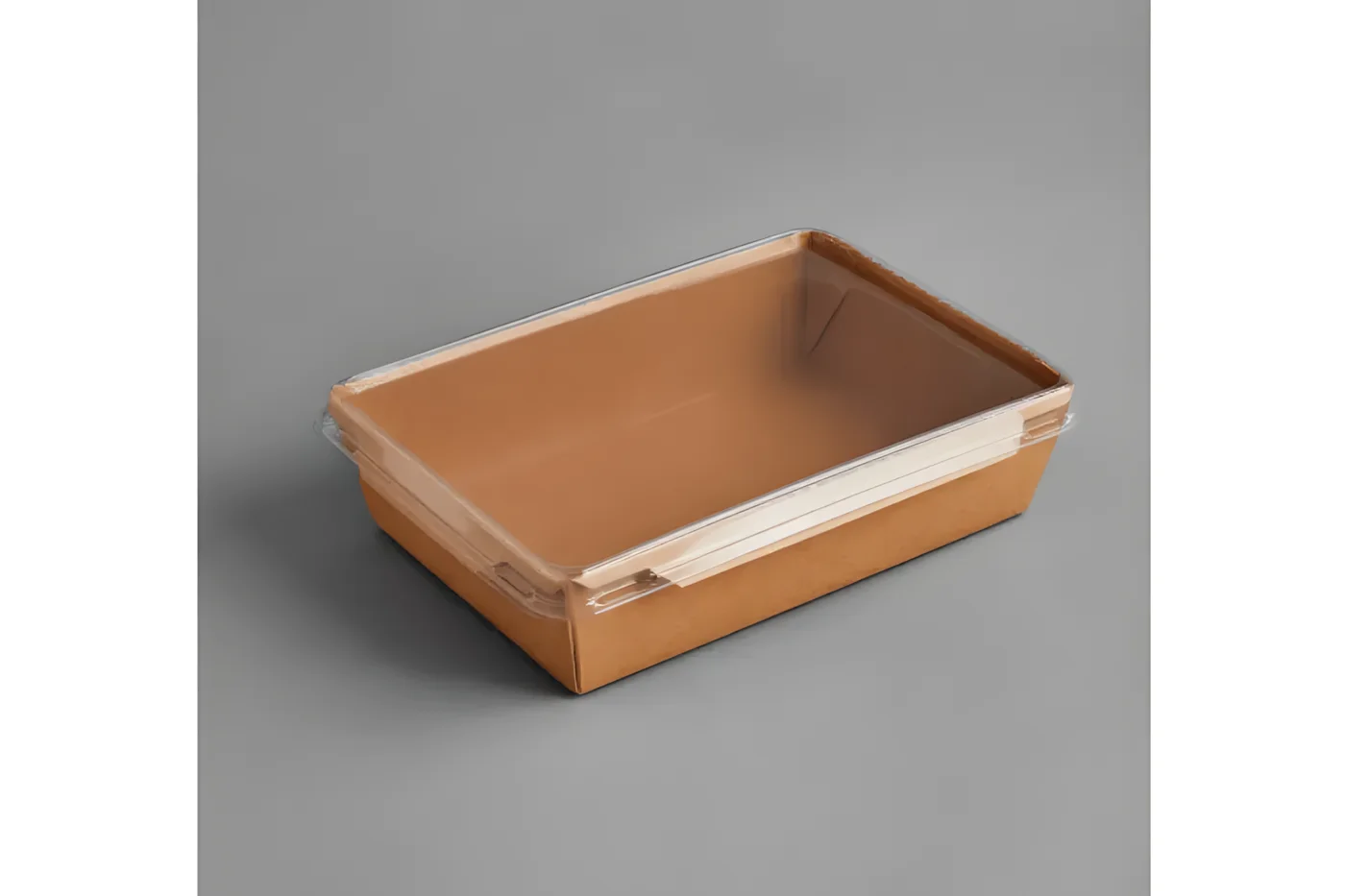 R-PET Lid for 1200ml Tray