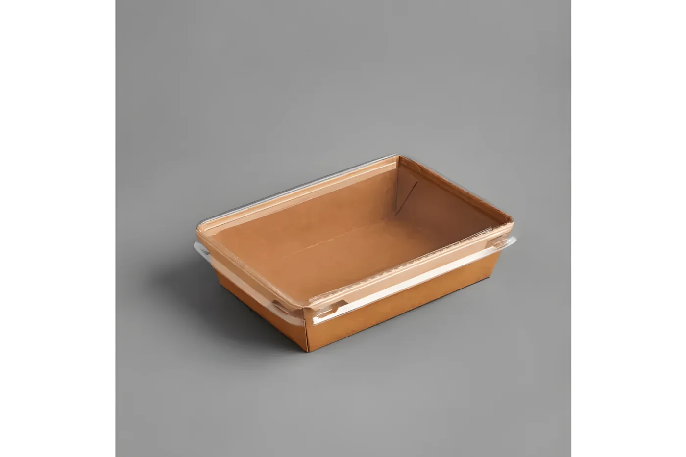 R-PET Lid for 500 ml Tray