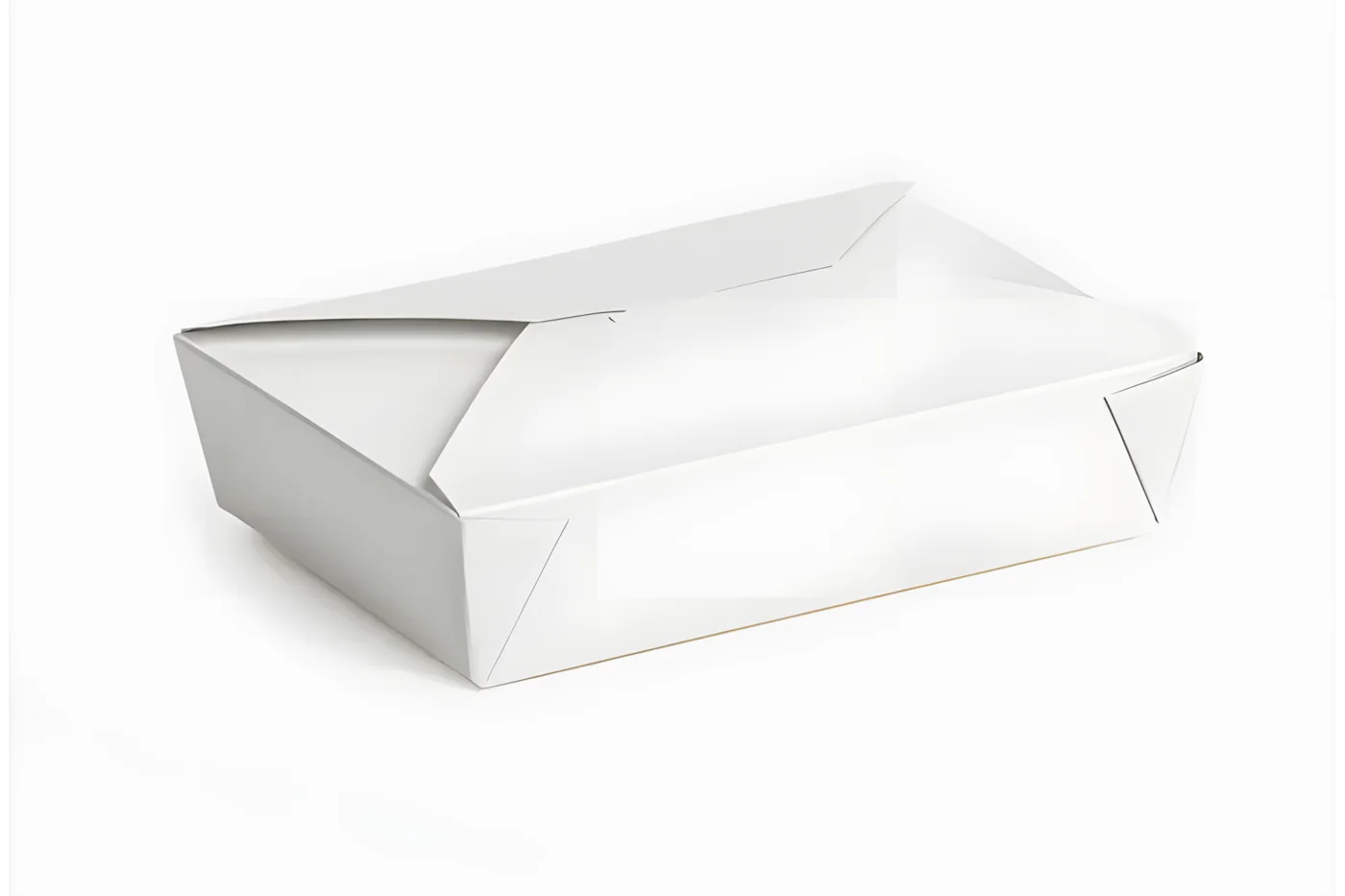 White Takeaway Container Size #2