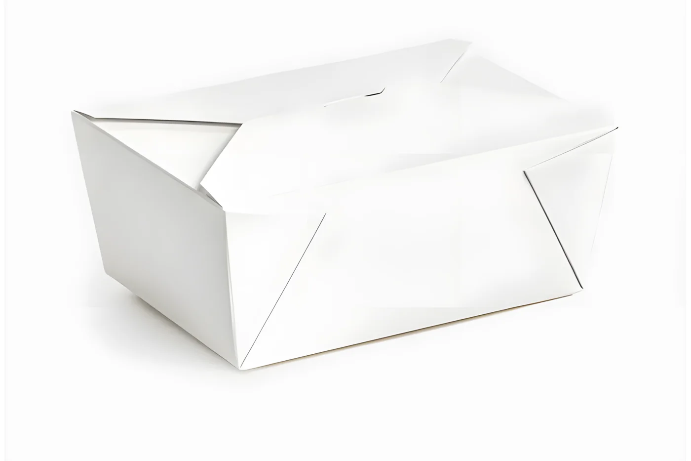 White Takeaway Container Size #4