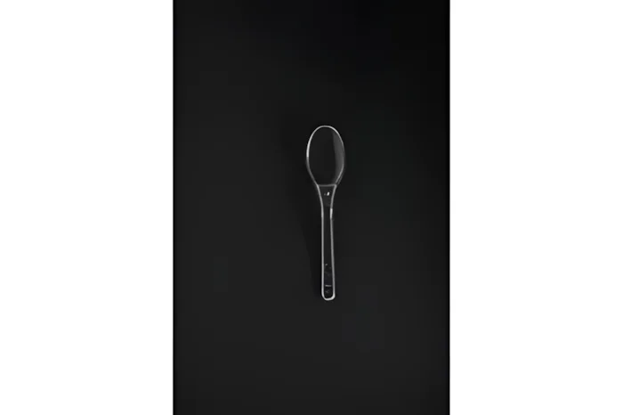 Appetizer Mini Spoon 250 pcs × 20