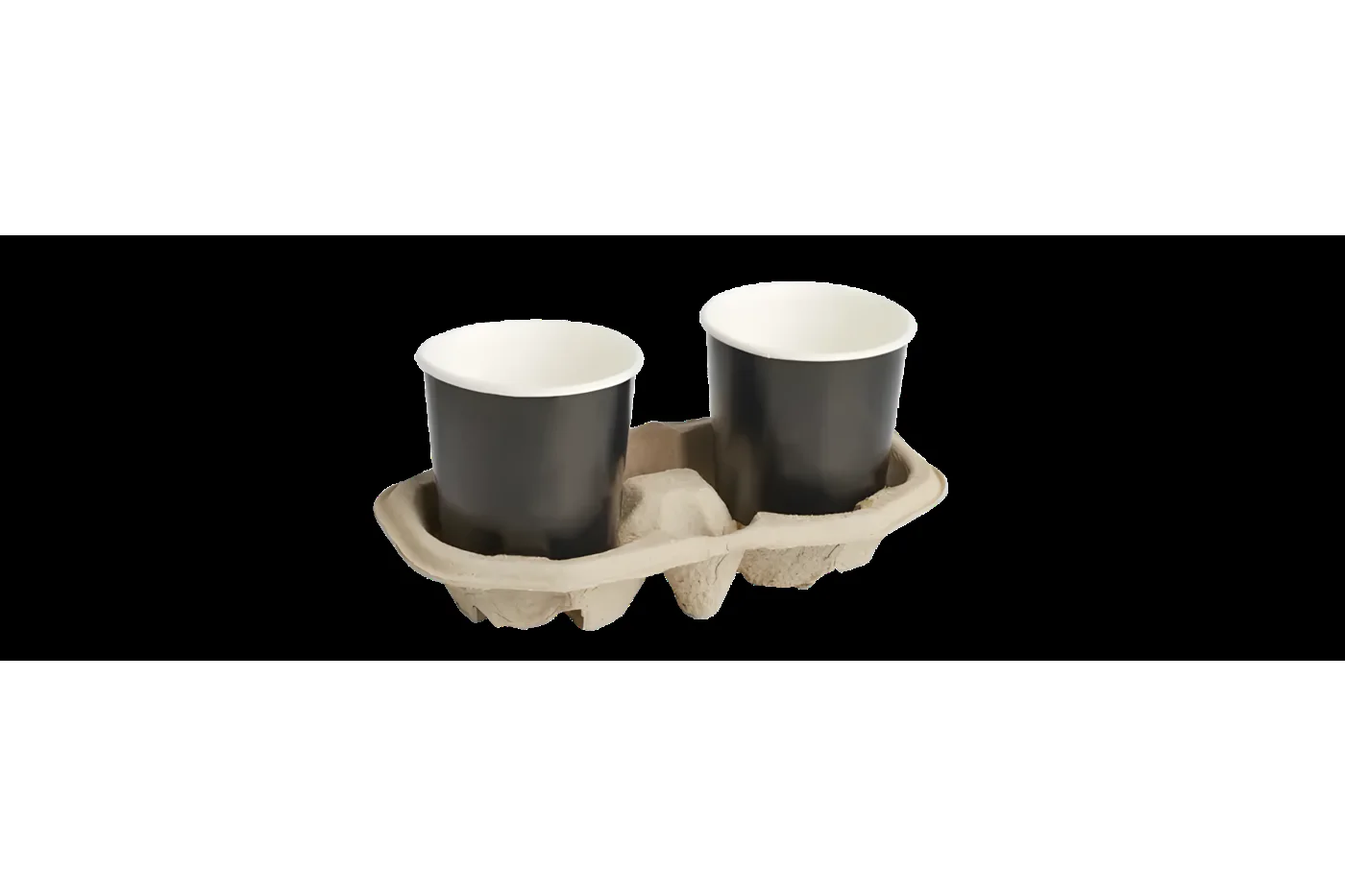 2 Cup Carrier